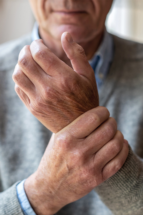 Spieren & gewrichten