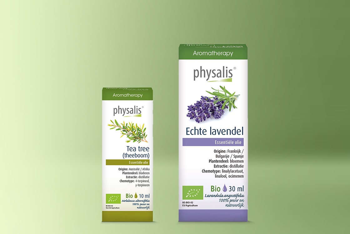 Physalis