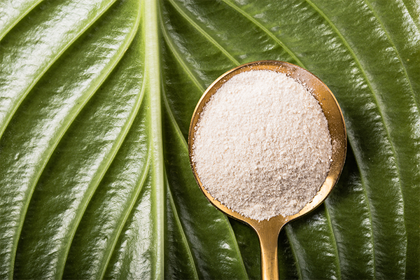 spoon of vegan collagen sitting on a leaf