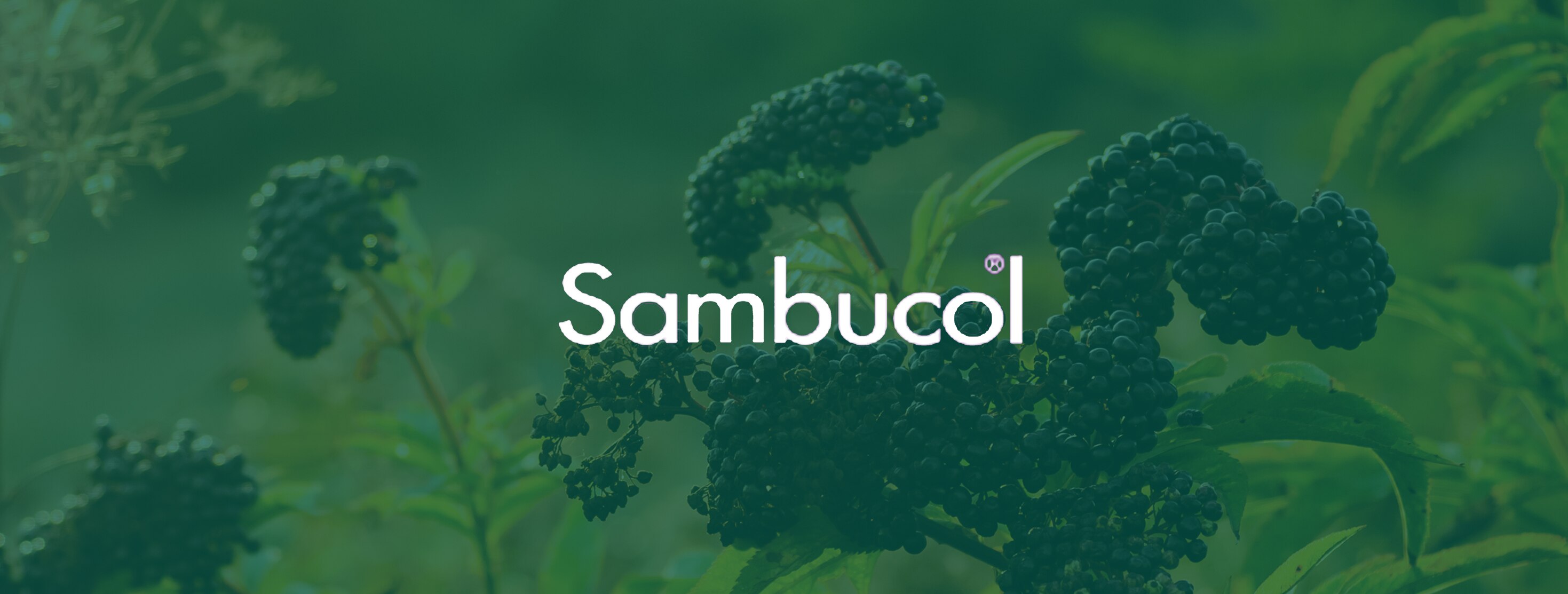ITS-Sambucol-header-2938x1113