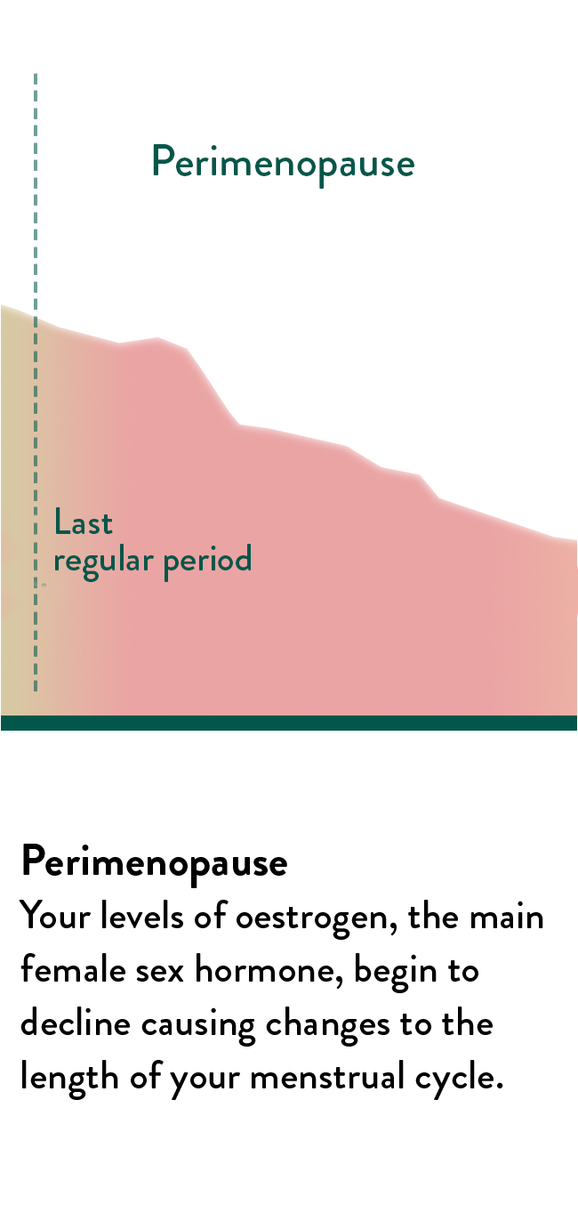 Menopause Wellness Hub Holland & Barrett
