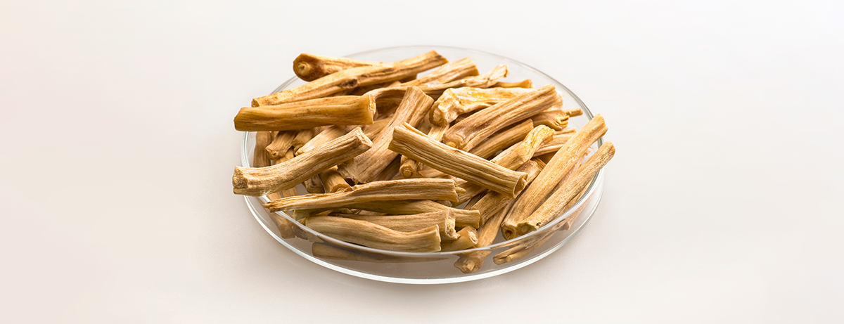 Bowl of dried up shatavari on a pastel coloured background