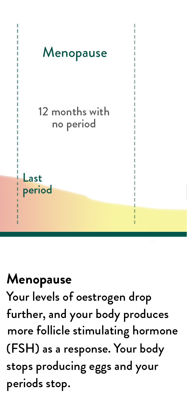 Menopause Wellness Hub Holland & Barrett
