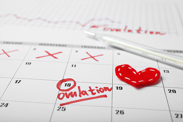 Fertile days for conceive and pregnancy in calendar. Infertility cycle test.