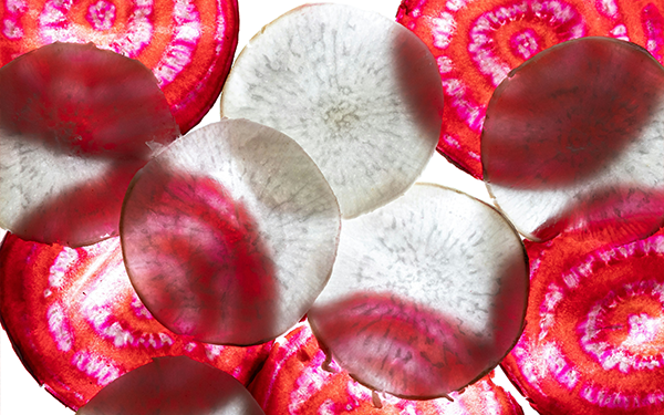 Macro photography of beetroot