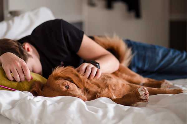 Male asleep with dog on the sofa