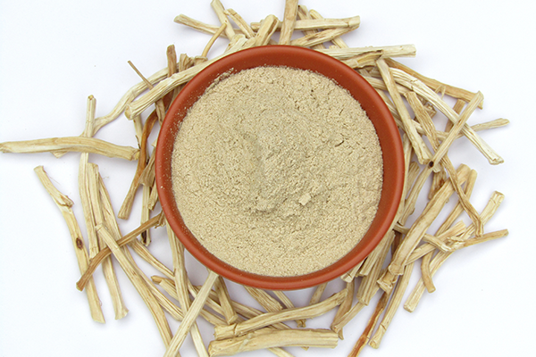 Bowl of shatavari powder