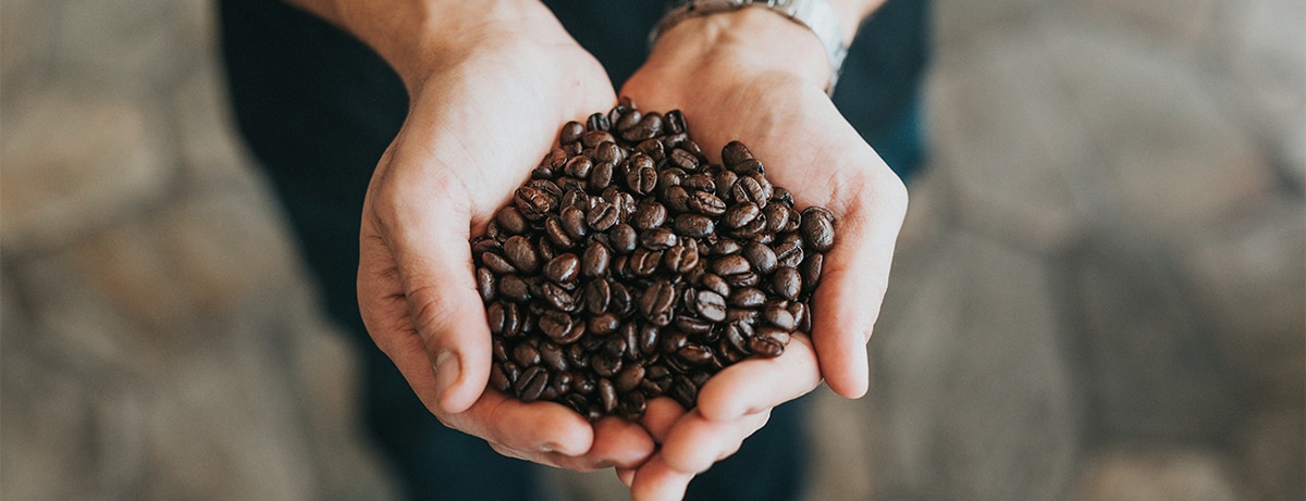 Hand holding coffee beans