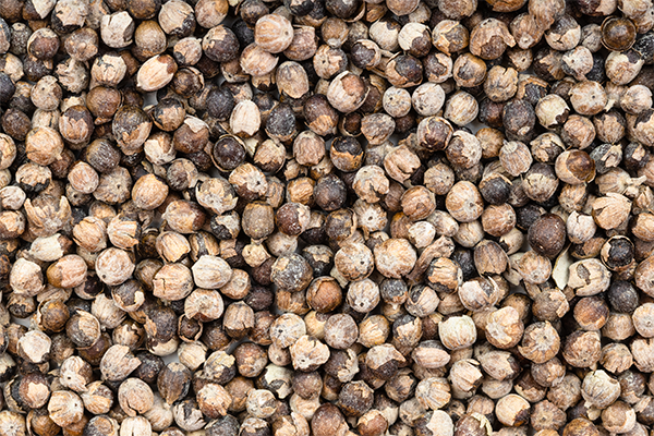 Macro shot of agnus castus berries