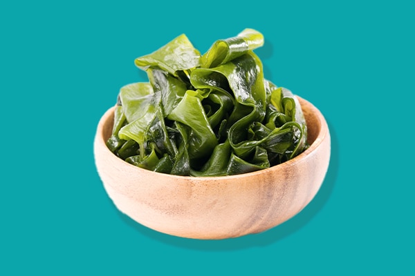 Bowl of sea kelp on blue backgound