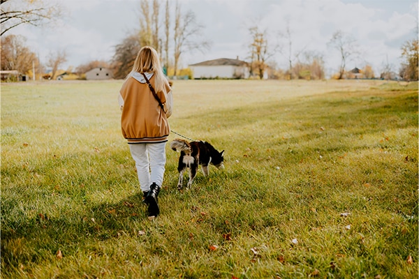 Female and dog walking through a winter field