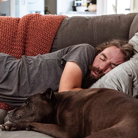 resting on sofa with dog to recover based on personality type