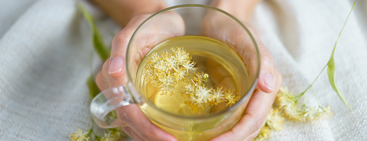 Hands holding herbal tea