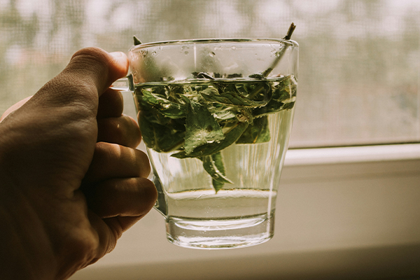 hand holding peppermint tea in front of window