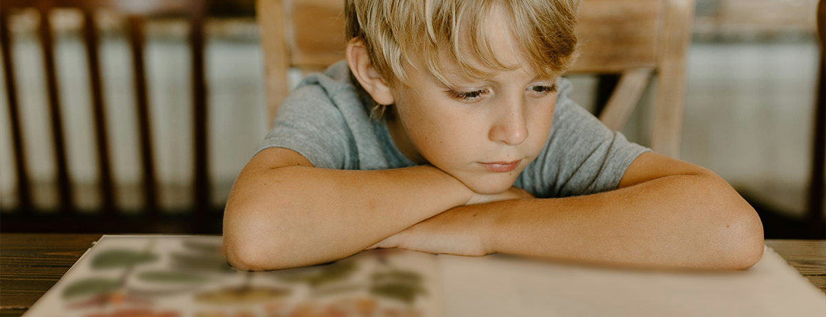 Boy reading book at table