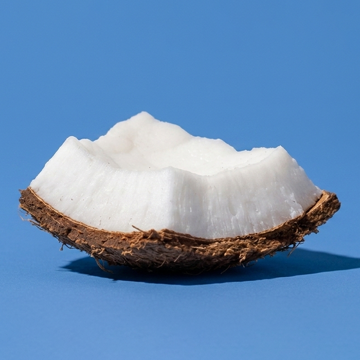 coconut piece on a blue background