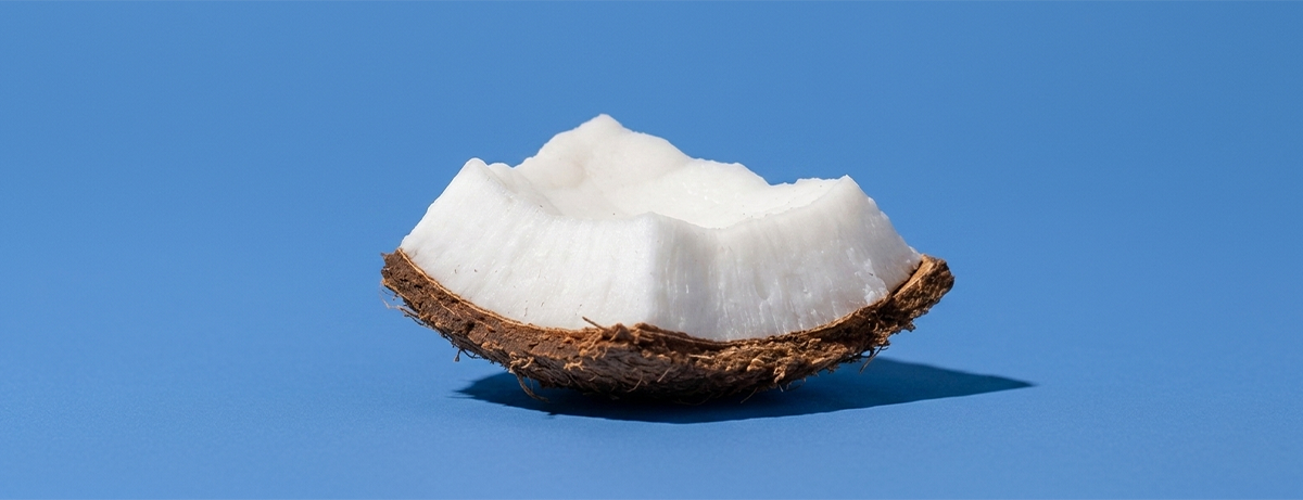 slice of coconut on a blue background