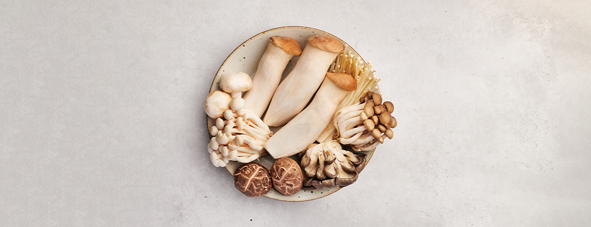 Wild mushrooms on a plate