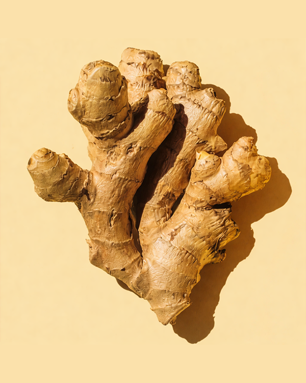 Ginger on yellow background