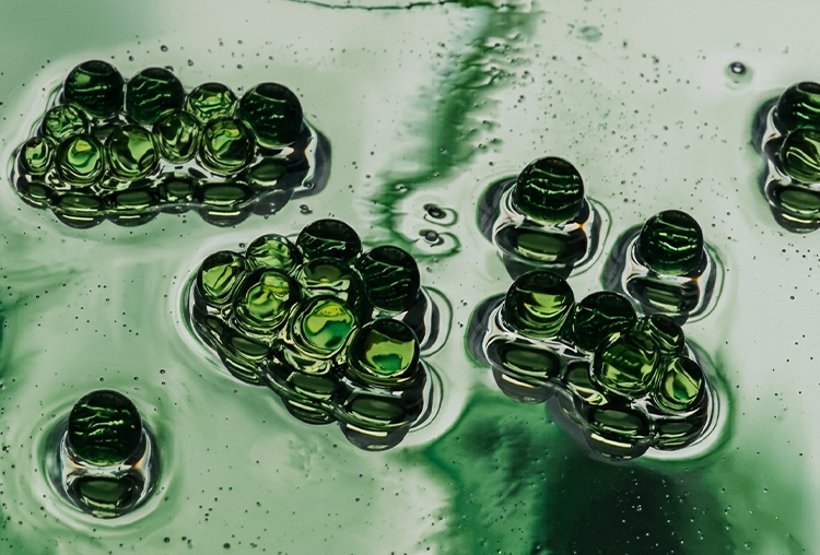 Macro shot of particles, green tint