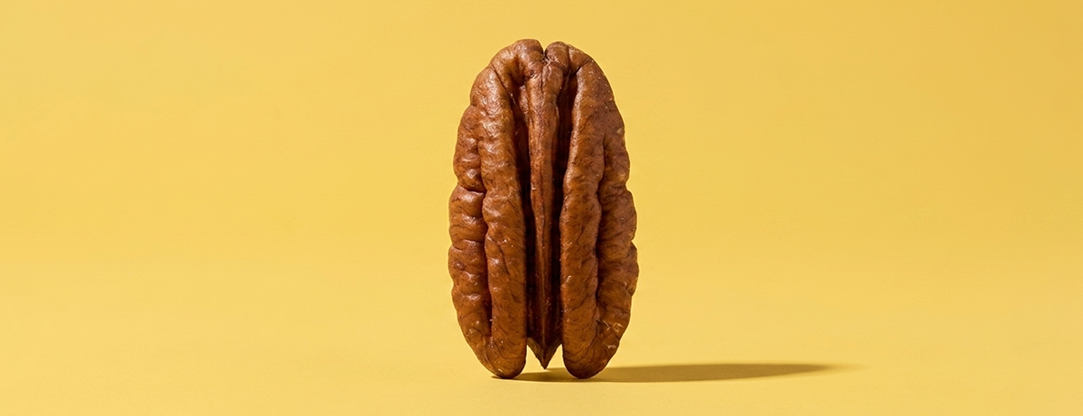 Pecan nut close up on yellow background