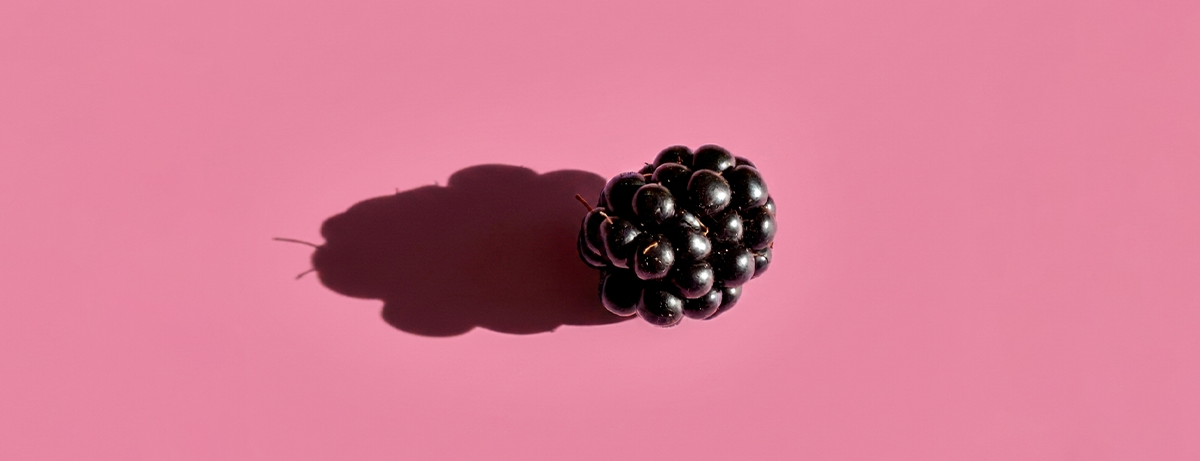 Raspberry on pink background