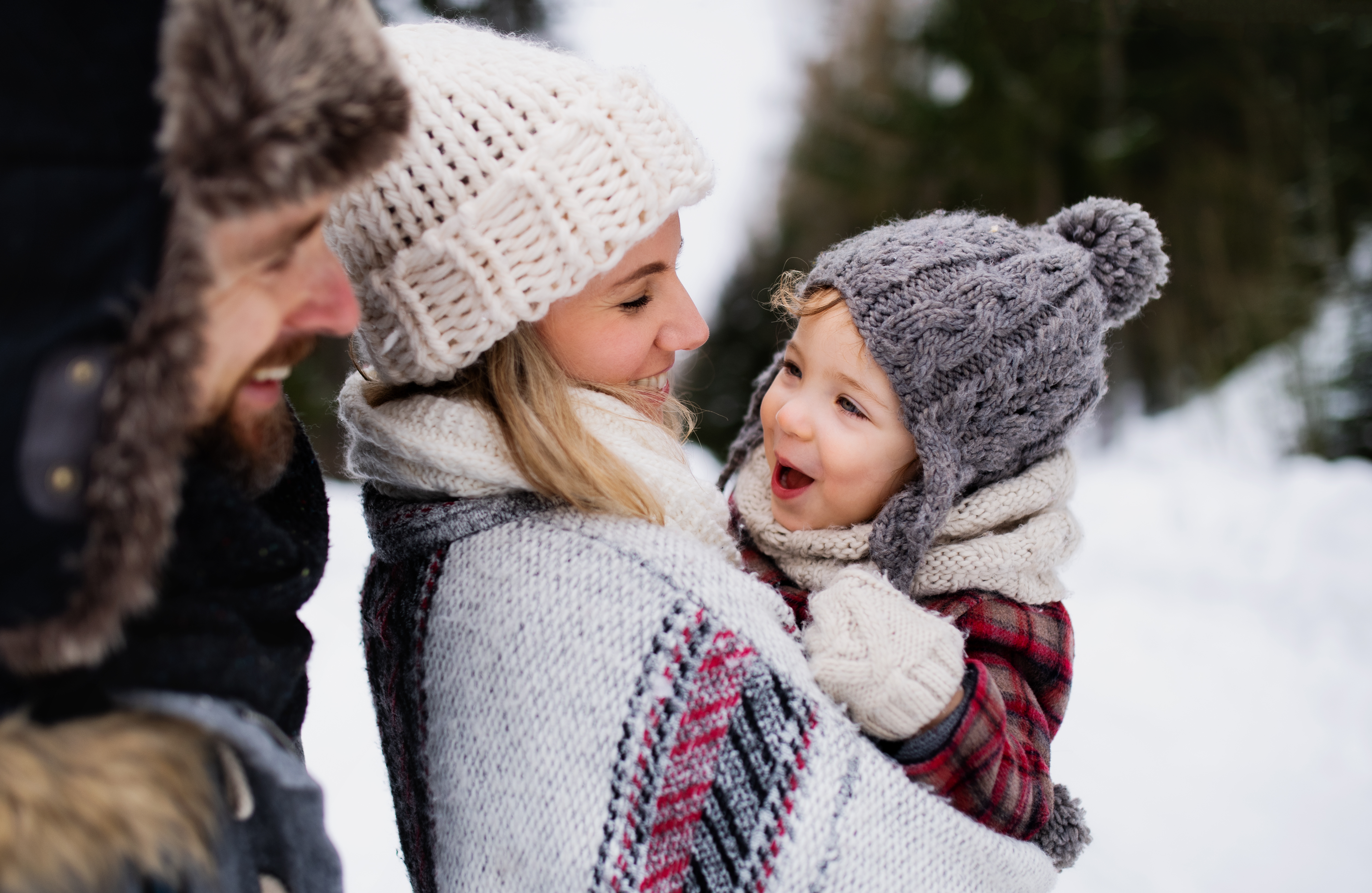 Family playing in the snow