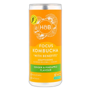 Kombucha category product example