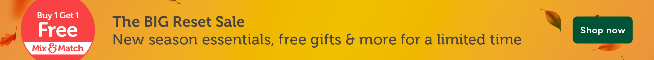 IE Big Reset Sale Desktop Strip Banner