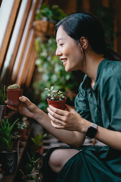 Immunity Mission Carousel