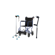 Mobility Aids category product example